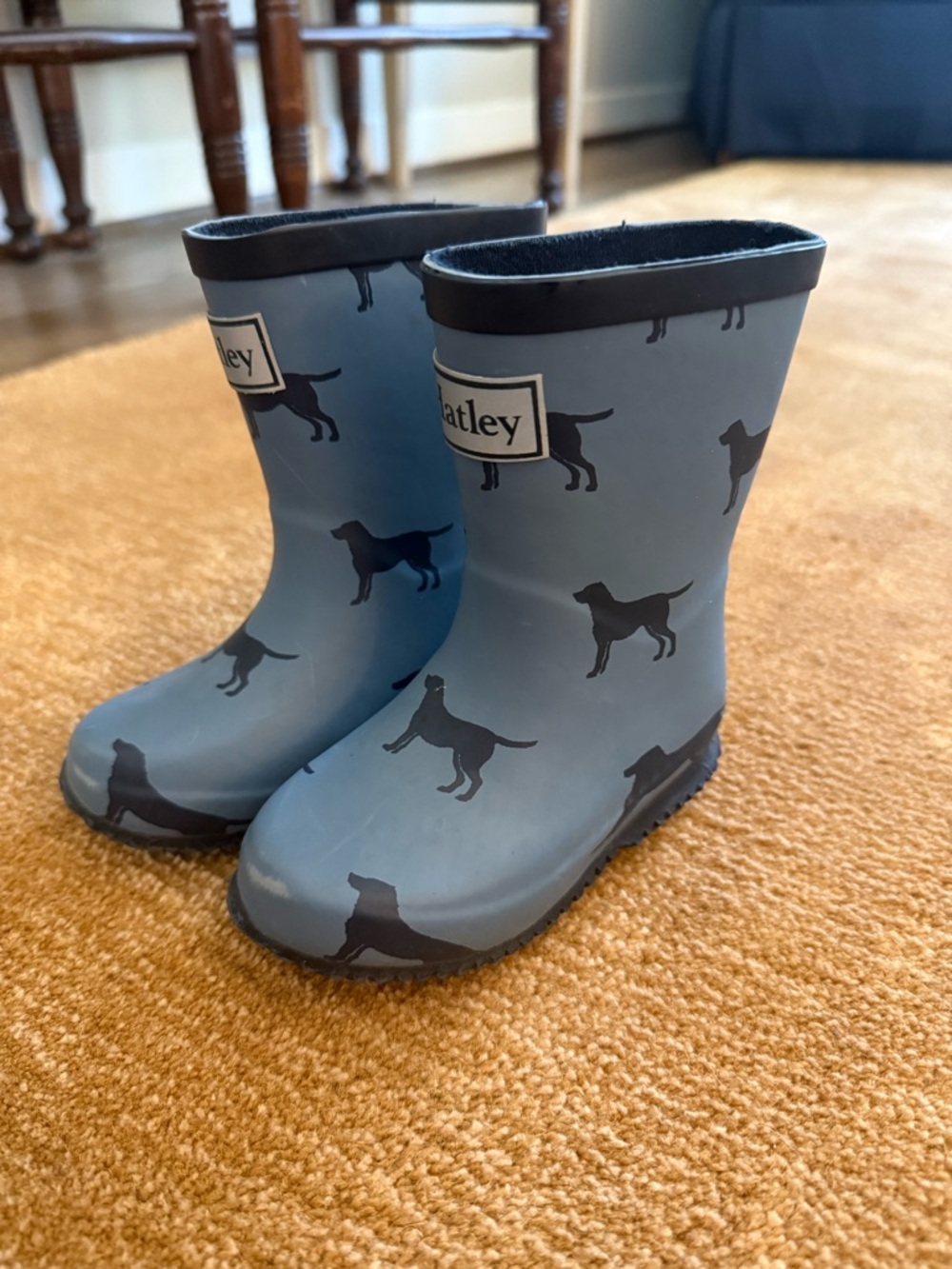 Blue Kids' Rain Boots with Black Dog Motif